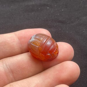 Bellissimo antico corniola agata egiziana bambino scarabeo amuleto intaglio uccello sigillo timbro perlina