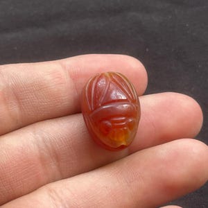 Bellissimo antico corniola agata egizia scarabeo bambino amuleto intaglio re faccia sigillo timbro perlina