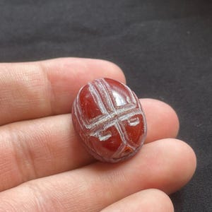 Bellissimo antico corniola agata egiziana bambino scarabeo amuleto intaglio sigillo timbro perlina