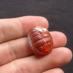 Bellissimo antico corniola agata egizia scarabeo bambino amuleto intaglio re facce sigillo timbro perlina