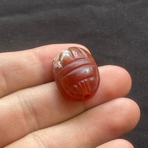 Bellissimo antico corniola agata egizia scarabeo bambino amuleto intaglio re faccia sigillo timbro perlina