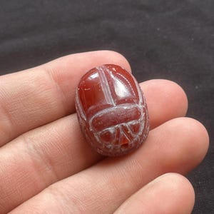 Bellissimo antico corniola agata egizia bambino scarabeo amuleto intaglio re guerriero sigillo timbro perlina