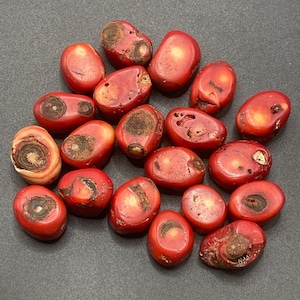 Beautiful Lot 20 Beads Antique Old Tibetan Bamboo Coral Beads