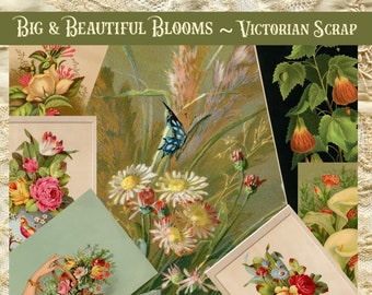 Big & Beautiful Blooms - Victorian Scrap - *DIGITAL KIT* 1800s Ephemera  - Junk Journal / Papercraft / Scrapbook Supplies