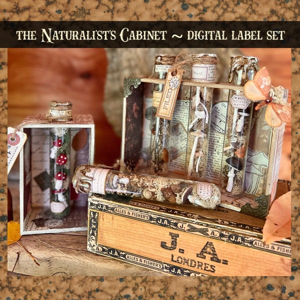 The Naturalist's Cabinet Antique Specimen Labels  *DIGITAL KIT* /  Ephemera  - Vintage Junk Journal / Papercraft / Mixed Media /Assemblage