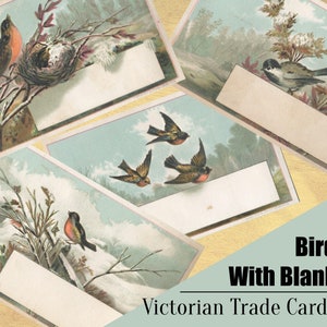 Viktorianische Vogelhandels Karte -*DIGITAL BLATT* - Werberohling - Junk Journal / Scrapbooking Zubehör