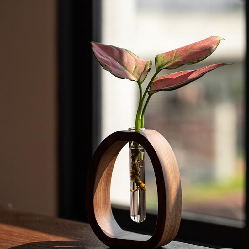 Puede incluir: Un jarr&oacute;n de madera con un marco ovalado contiene un tubo de vidrio transparente con una planta de hojas rosas y verdes. El jarr&oacute;n es de madera marr&oacute;n oscuro y est&aacute; sobre una superficie de madera cerca de una ventana.