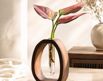 Puede incluir: Un jarrón de madera moderno con un tubo de vidrio transparente que contiene una planta con hojas rosas y verdes. El jarrón tiene forma ovalada y se apoya sobre una base de mármol. Un segundo jarrón con flores secas está en el fondo.