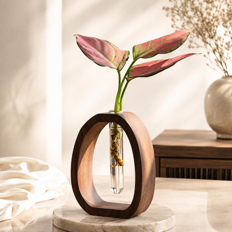 Puede incluir: Un jarr&oacute;n de madera moderno con un tubo de vidrio transparente que contiene una planta con hojas rosas y verdes. El jarr&oacute;n tiene forma ovalada y se apoya sobre una base de m&aacute;rmol. Un segundo jarr&oacute;n con flores secas est&aacute; en el fondo.