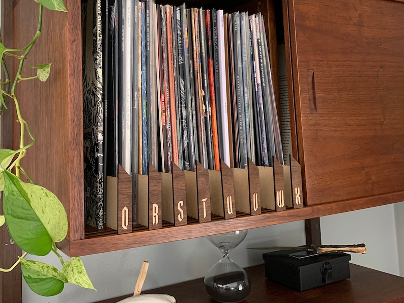 Vinyl Record Organizers image 1