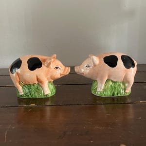 Vintage Bauernhaus-Stil rustikales Schwein Keramik Salz und Pfefferstreuer-Set