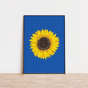 May include: A framed print of a yellow sunflower with a dark brown center on a bright blue background.