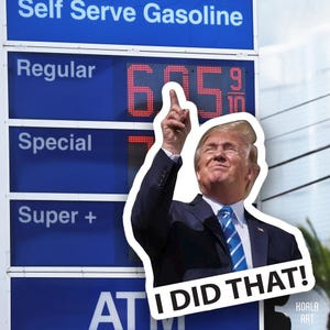 ¡Donald Trump, lo hice! / Vinilo adhesivo / / Vinilos de alta calidad / Para portátil / Coche / Libro / Botella de agua. Adhesivo anti Trump