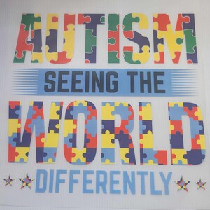 Autism Seeing the world Different DTF transfer (TRANSFER ONLY)