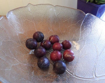 Clear glass leaf bowl, fruit, punch, party, centre piece, summer, frosted, Garden,