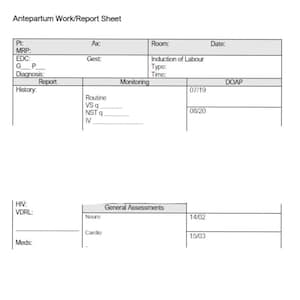 Antepartum Report Sheet - L&D unit (English)