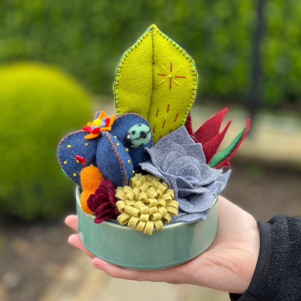 Medium Felt Cactus Bowl