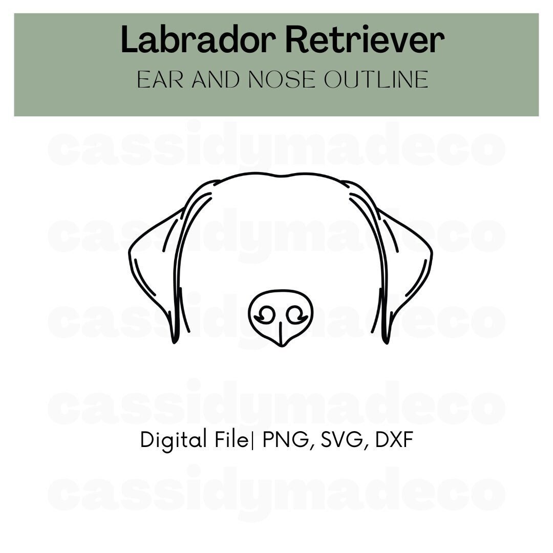 Labrador Retriever Labrador Dog Ear and Nose Outline SVG, PNG, DNF