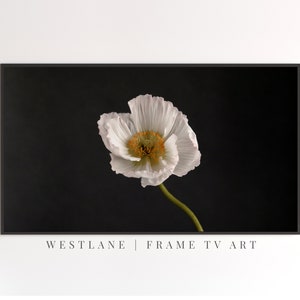Samsung Frame TV Art | Minimalist Flower Art | DIGITAL TV Download TV141