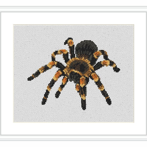 Tarantula insect spider Cross Stitch Pattern Instant Digital Download, PDF Pattern