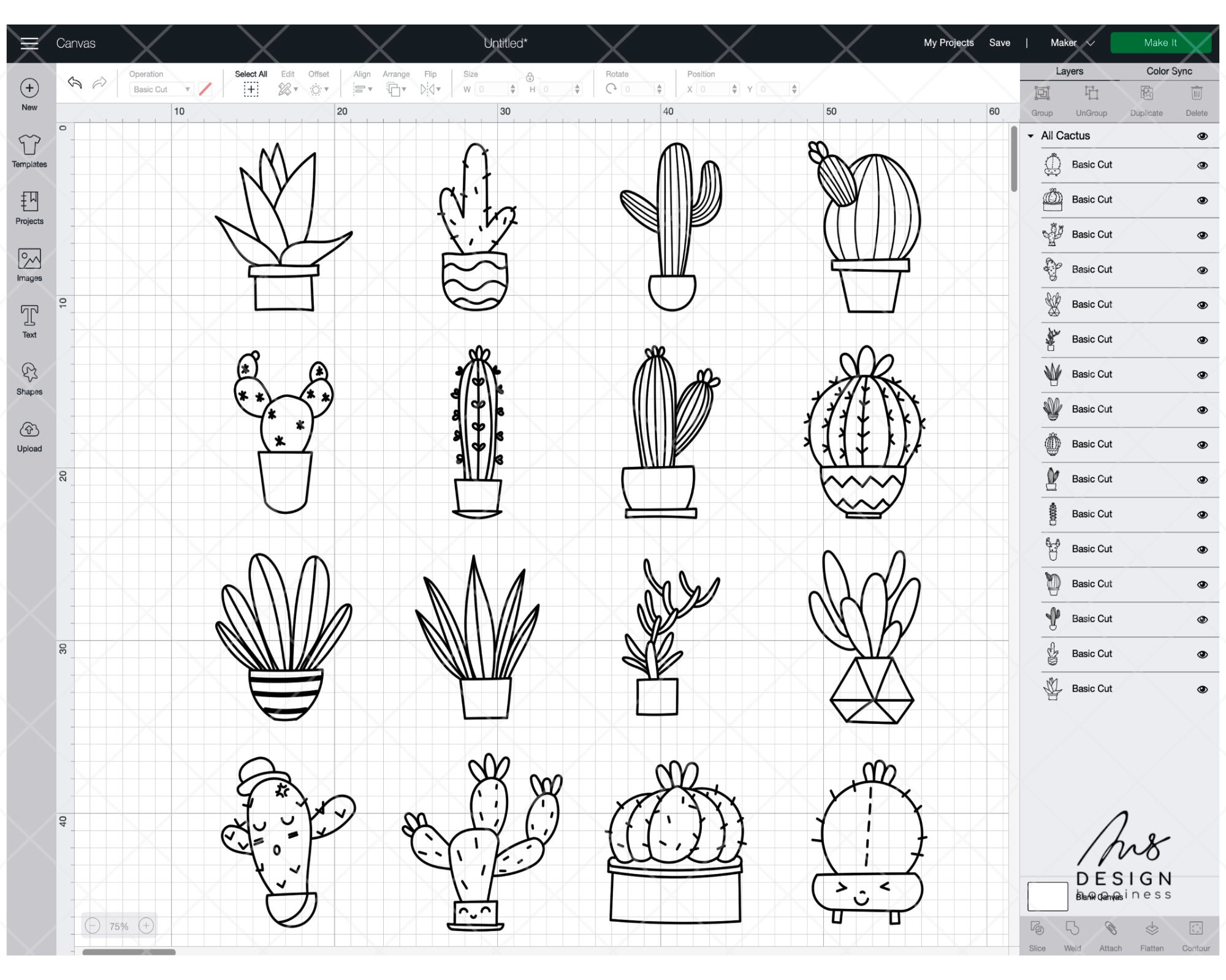Cactus SVG, Succulent Svg DXF PNG Eps Files for Cricut and Silhouette ...