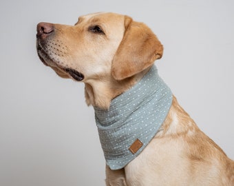 Hundehalstuch "fläck" - mint - grün - Weihnachten - Hundetuch - Halsband - Accessoire für Hunde - Geschenk - Musselin - Bandana - Punkte