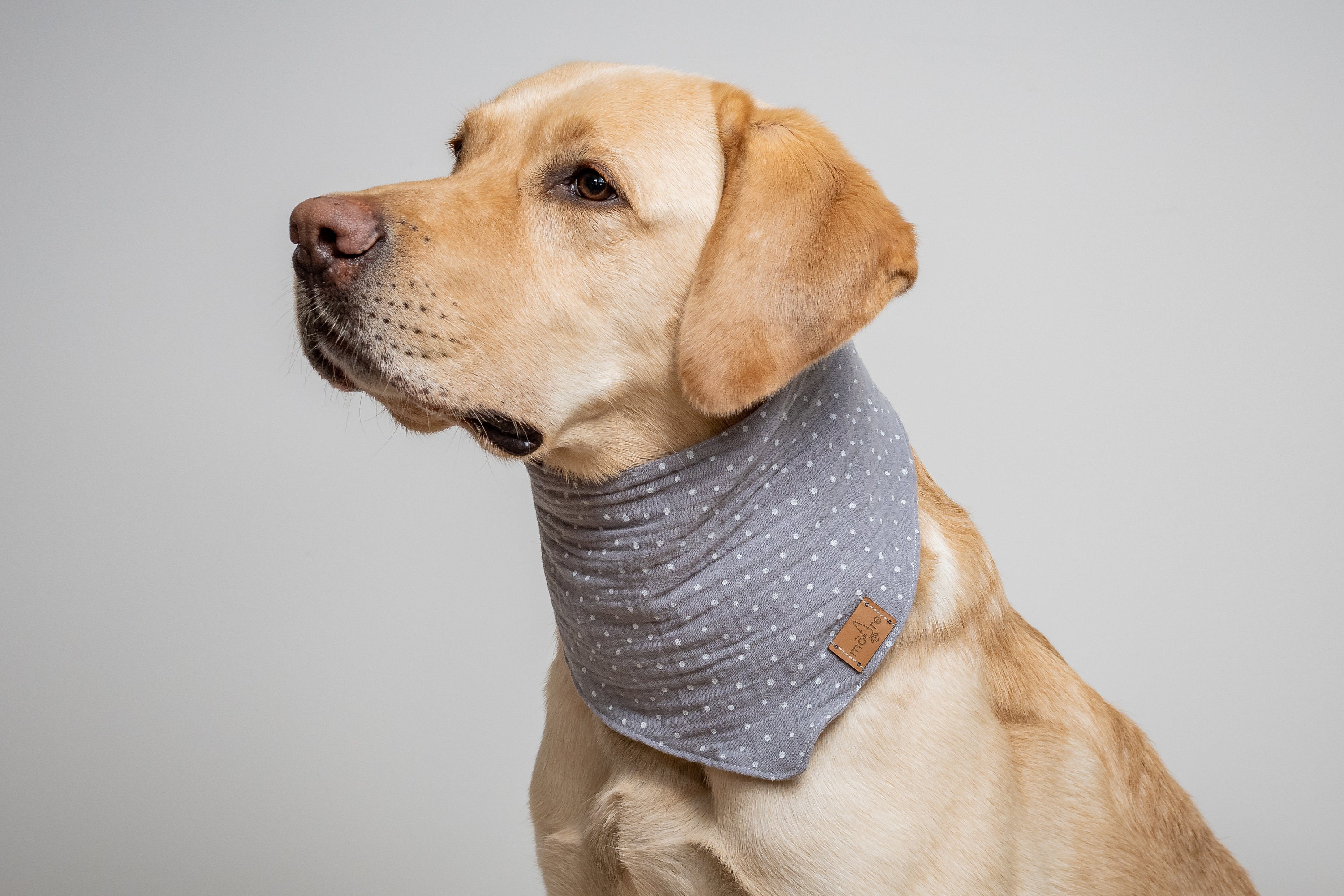 Dog Scarf "Fläck" - Grey Stone Christmas Dog Collar Accessory For Dogs Gift Muslin Bandana Dots