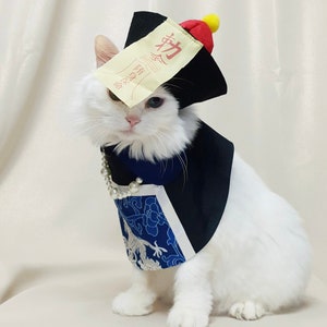 Halloween Zombie Pet Costume, S-L, Halloween Pet Costume, Chucky Dog Costume, Party Dog Costume, Cat Costumes, Dog Clothes, Pet Clothing