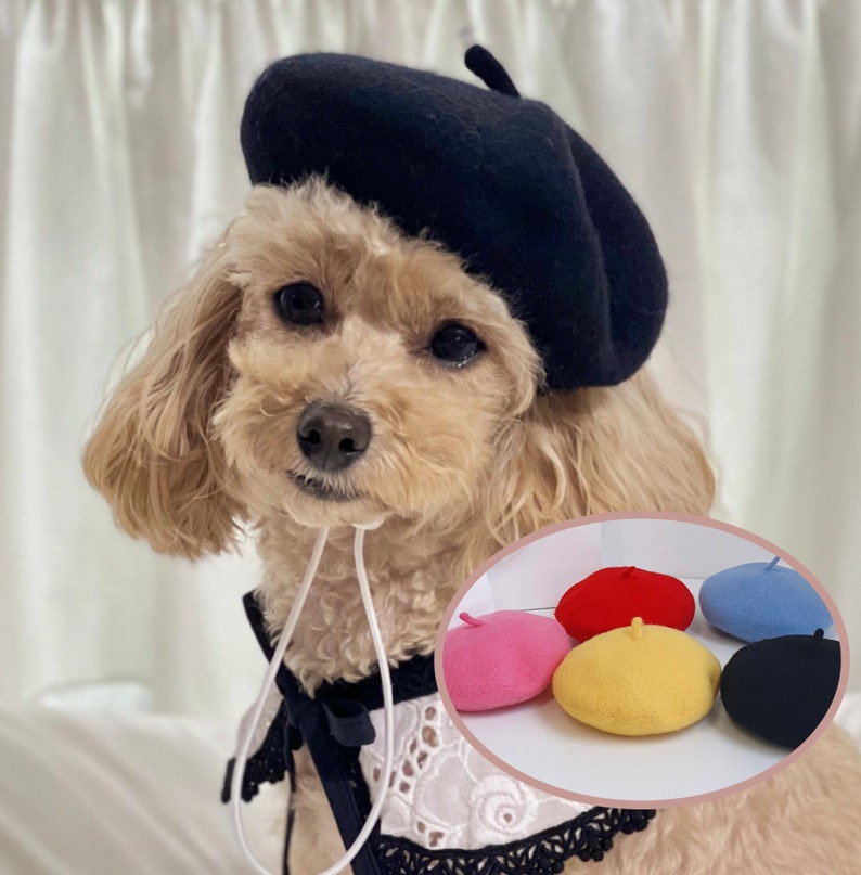 French Beret Hat, Hat for Dog, Dog Hat, Dog Beret, Dog Costume, Pet Outdoor, Pet Accessory, Dog Fashion, Dog Apparel, Pet Clothing image 1