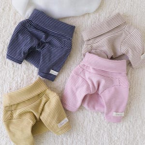 May include: Four pairs of striped dog pajamas in different colors: navy blue, beige, pink, and yellow. Each pair has a white stripe pattern and a small white tag with the word "Sunny Life" on it.