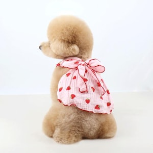 May include: A light pink pet garment featuring a repeating strawberry pattern and a large bow on the back. The fabric has a textured, crinkled appearance with a thin red trim along the edges of the bow and the hem of the garment.
