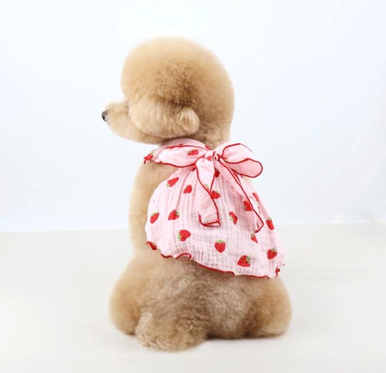 May include: A light pink pet garment featuring a repeating strawberry pattern and a large bow on the back. The fabric has a textured, crinkled appearance with a thin red trim along the edges of the bow and the hem of the garment.