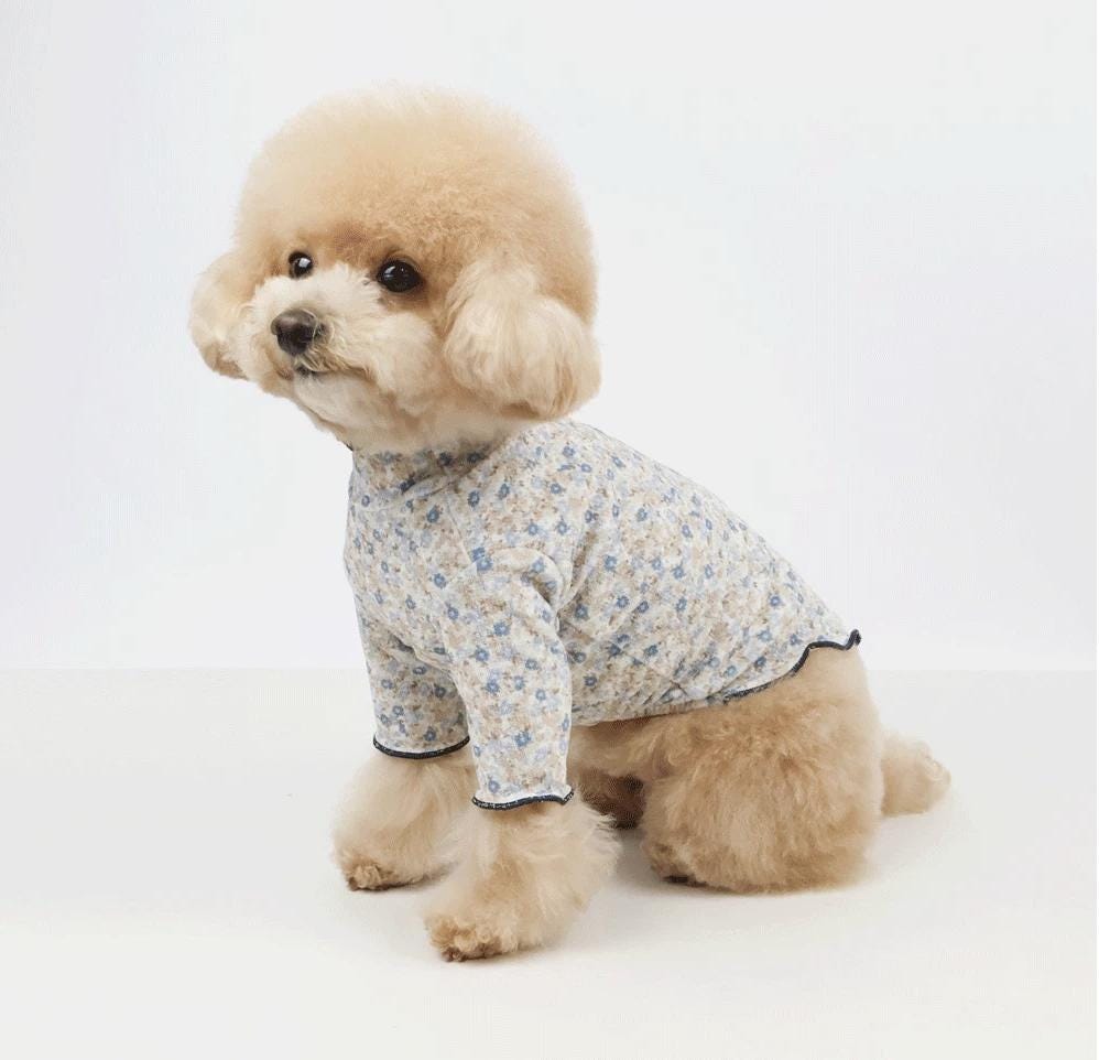 花柄フリルTシャツ、S～2XL、小型犬用服、犬用ニット、犬用トップス