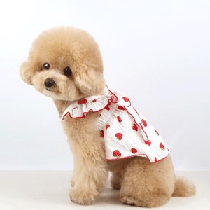 May include: A light-colored poodle wearing a white sleeveless pet dress featuring a repeating red strawberry pattern. The dress has a ruffled collar and hem with red trim, and the fabric has a subtle vertical textured stripe throughout the design.