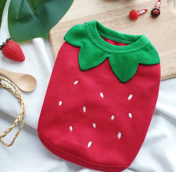 Strawberry Dog Sweater, S-2XL, Halloween dog, Dog costume, Halloween dog Shirt, Halloween Costume Dog, Pet Clothing, Dog-Tee, Dog T-shirts