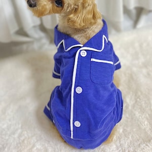 May include: A small dog wearing a blue and white pajama set with white piping and buttons. The pajamas have a pocket on the chest.