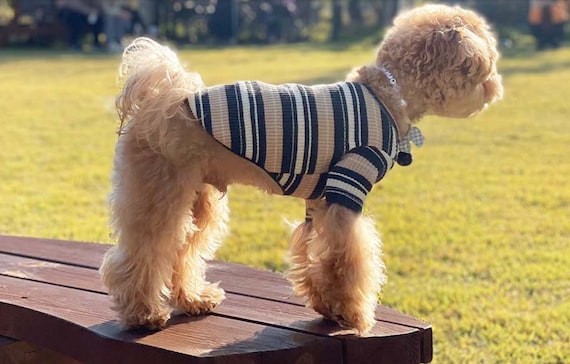 Stripe Ribbed Top XS 2XL Pet Clothing Dog tee Dog T shirts Dog Top Dog Clothing Dog Fashion Dog Apparel Etsy UK