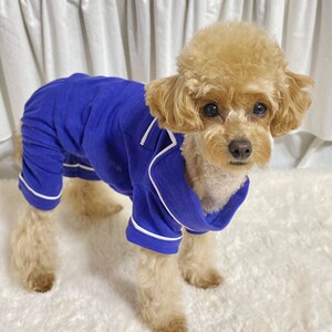 May include: A small, light brown poodle wearing a blue and white striped pajamas. The pajamas have a white collar and white trim around the sleeves and legs.