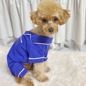 May include: A small, light brown poodle wearing a blue and white striped pajama top. The pajamas have a white trim around the collar and sleeves.