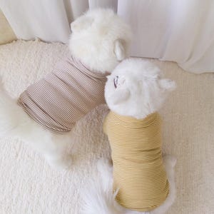 May include: Two white dogs wearing striped shirts. One dog is wearing a brown and white striped shirt, and the other dog is wearing a yellow and white striped shirt.