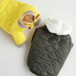 Bomber Jacket, S-2XL, Flight Jacket, Pet Clothing, Dog Jacket, Dog Fashion, Dog Apparel, Pet Clothing