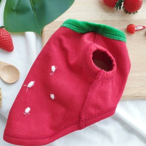 Pode incluir: Camisola de c&atilde;o vermelha de algod&atilde;o com colarinho verde e detalhes bordados brancos que se assemelham a um morango.
