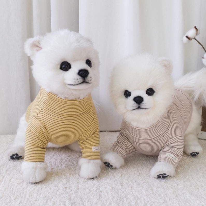 May include: Two white fluffy dogs wearing striped shirts. One dog is wearing a yellow and brown striped shirt, and the other dog is wearing a brown and white striped shirt.