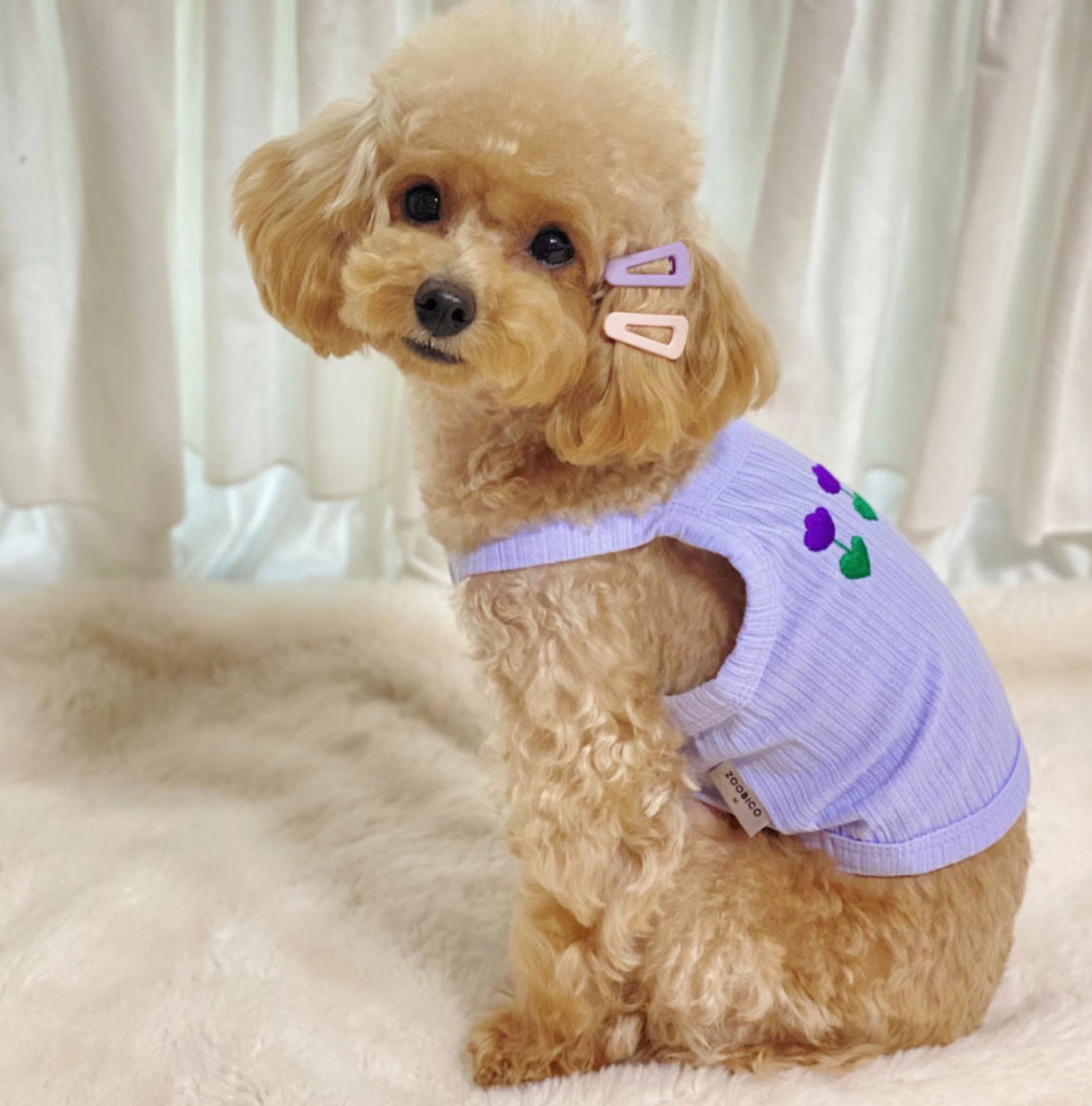 Zoo Crop Top, XS-2XL, Dog-shirts Dog Top, Dog Clothing, Dog