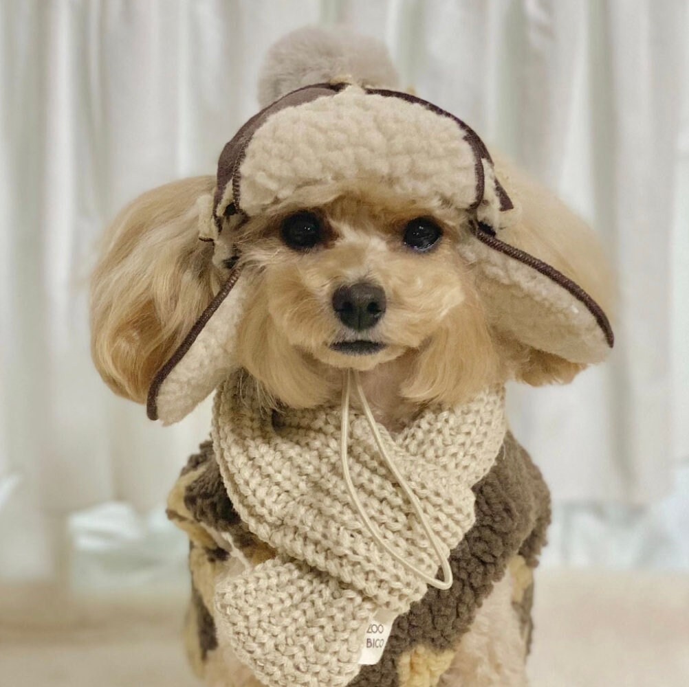 Leichtes Hunde-Shirt Mit Leinen-Ring – Atmungsaktives Sommer-T-Shirt Für Kleine Hunde In Rosa