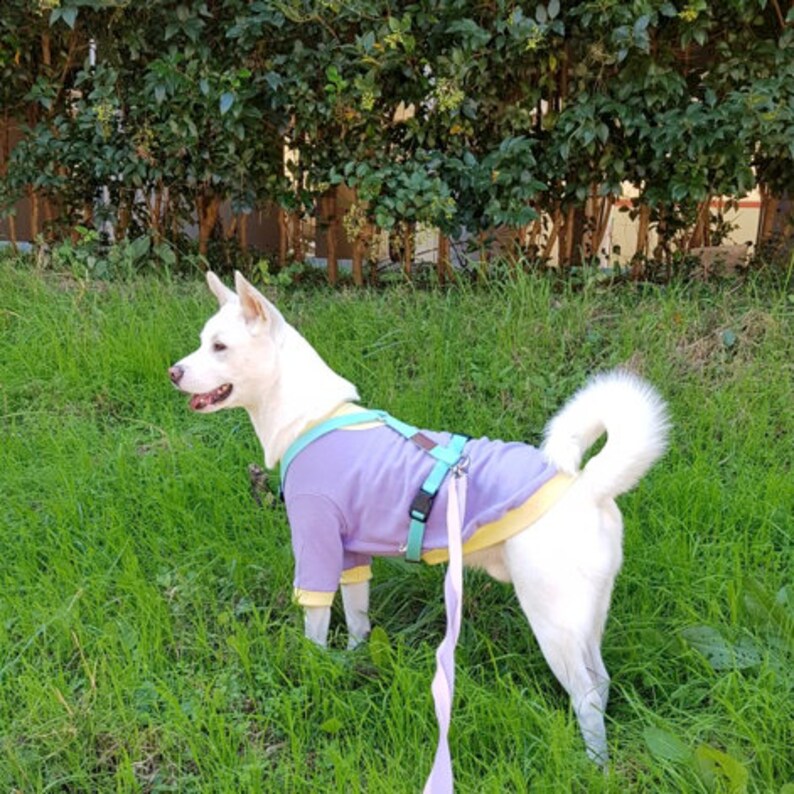Pastel Color Block T-shirt, 3XL-6XL, Large Dog Clothes, Large Breeds Dogs Tee, Large Dog Apparel, Big Dog Clothes image 5