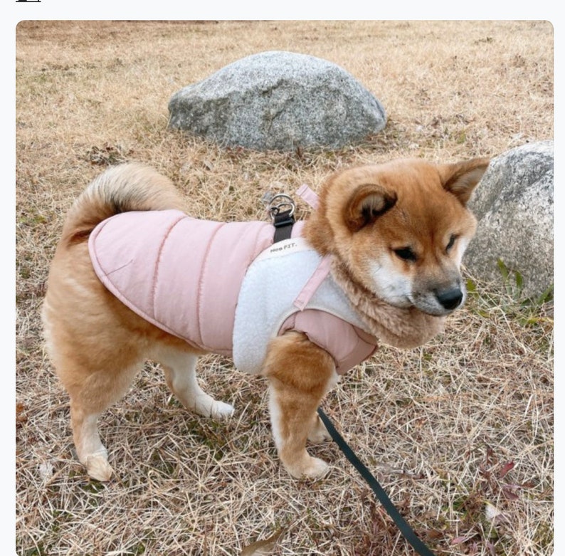 Sherpa Fleece Harness Dog Harness Step in Harness Etsy