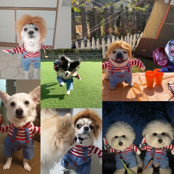 Chucky huisdierkostuum XS XL Halloween kostuum voor huisdieren Chucky hondenkostuum feesthondkostuum kattenkostuums hondenkleding kleding voor huisdieren Etsy Nederland