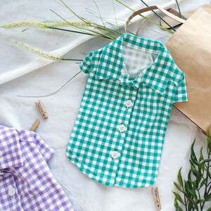 May include: A green and white gingham button-up shirt for a pet. The shirt has short sleeves and a collar.