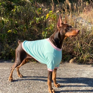 Pastel Color Block T-shirt, 3XL-6XL, Large Dog Clothes, Large Breeds Dogs Tee, Large Dog Apparel, Big Dog Clothes image 1